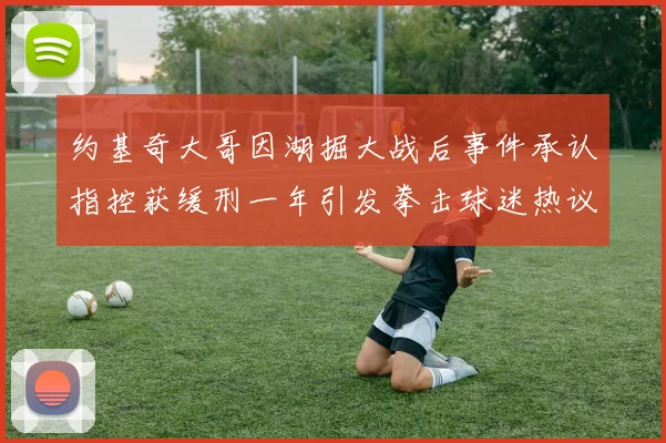 约基奇大哥因湖掘大战后事件承认指控获缓刑一年引发拳击球迷热议