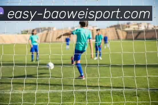 宝威体育服务体系